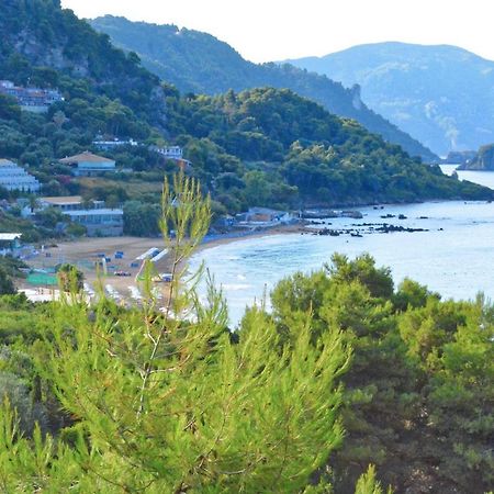 Corfu Resorts Villas 佩雷卡斯 外观 照片