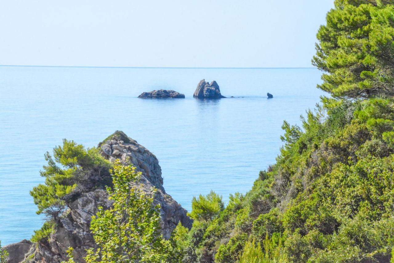 Corfu Resorts Villas 佩雷卡斯 外观 照片